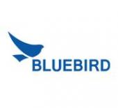 Pidion (Bluebird Inc), 