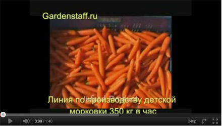 ��������� ������� � ���� ����� (Baby Carrot) 