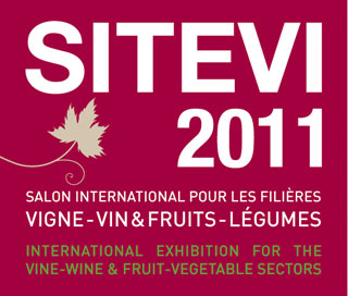  SITEVI 2011: ��� ������������� ������� ��������������-��������� � �����������-������������ 