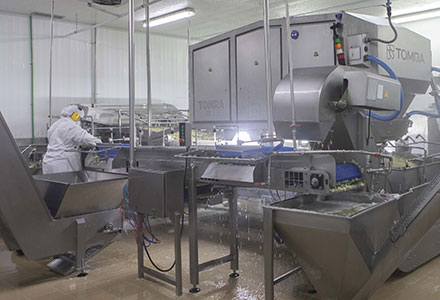  �������� BS Cocinados, S.L. ���������� ����� ���������������������� ��������� TOMRA 5B ��� ���������� ������, ��������� � ������� 