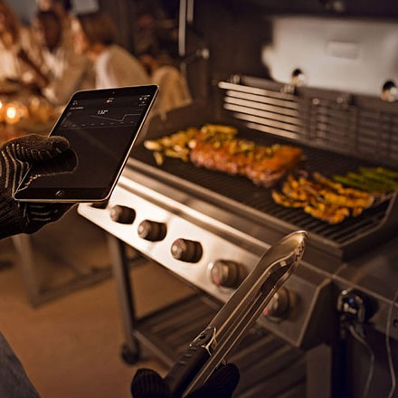  ������� ����� Weber Genesis II 